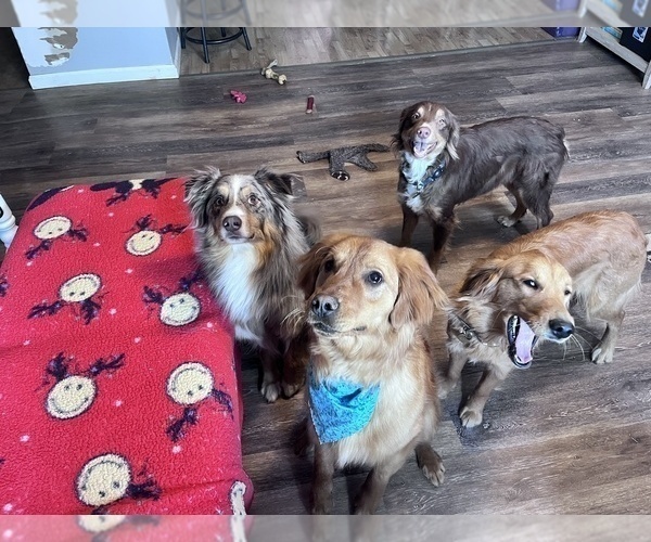 Medium Photo #13  Breeder Profile in HARRISON, OH, USA