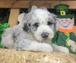 Small #3 Breeder Profile image