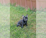 Small #35 Breeder Profile image