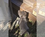 Small #7 Breeder Profile image