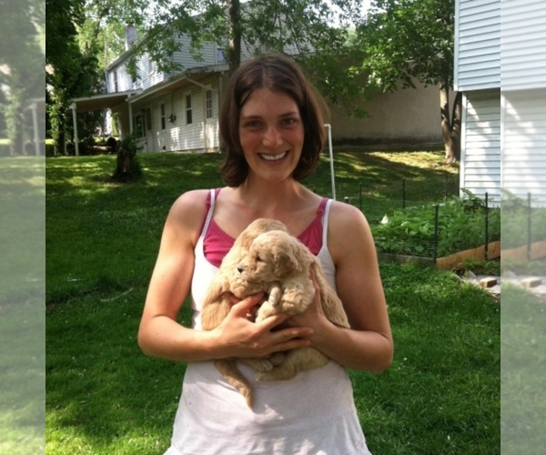 Medium Photo #1  Breeder Profile in ABINGTON, PA, USA