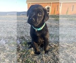 Small #1 Breeder Profile image
