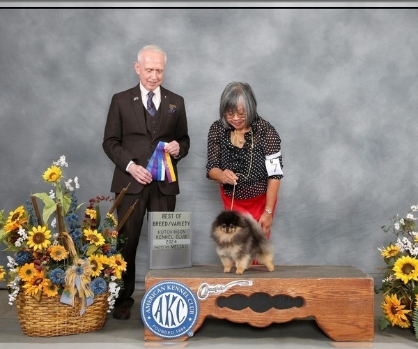 Medium Photo #2  Breeder Profile in BLANCHARD, OK, USA