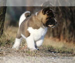 Small #2 Breeder Profile image