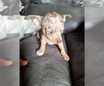 Small #4 Breeder Profile image