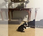 Small #2 Breeder Profile image