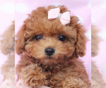 Small #7 Breeder Profile image
