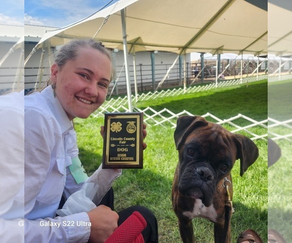 Medium Photo #37  Breeder Profile in AFTON, WY, USA