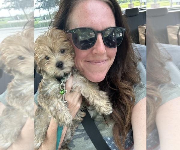 Medium Photo #19  Breeder Profile in CASSVILLE, MO, USA