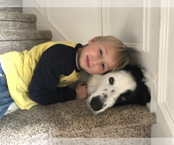 Medium Photo #43  Breeder Profile in PARIS, MI, USA