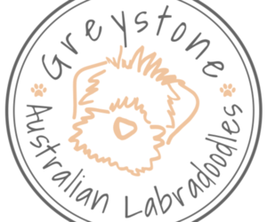Australian Labradoodle Dog Breeder in ARCHBOLD,  USA