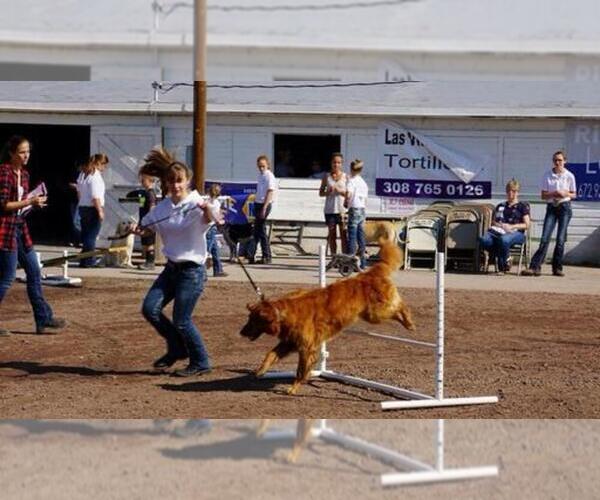 Medium Photo #1  Breeder Profile in BAYARD, NE, USA