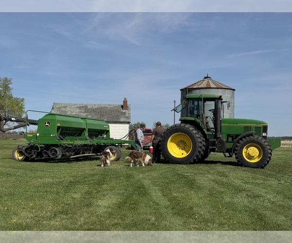 Medium Photo #3  Breeder Profile in DAZEY, ND, USA