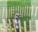 Small #3 Breeder Profile image