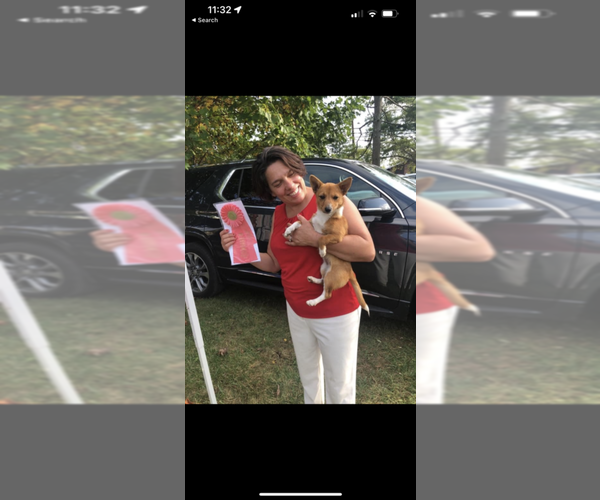 Medium Photo #1  Breeder Profile in BLOOMFIELD, CT, USA
