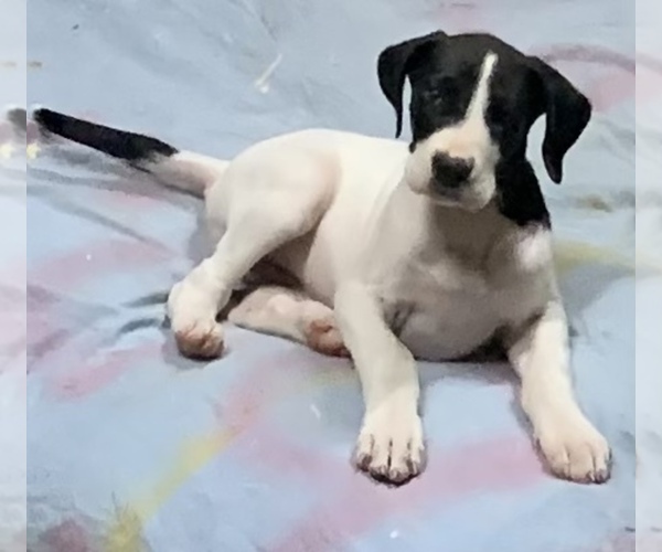 Medium Photo #1  Breeder Profile in CLANTON, AL, USA