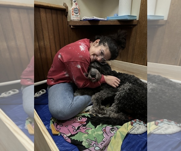 Medium Photo #1  Breeder Profile in WINCHESTER, IL, USA