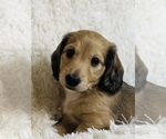 Small #6 Breeder Profile image