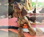 Small #10 Breeder Profile image