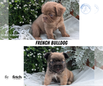 Small #9 Breeder Profile image