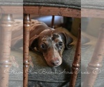 Small #4 Breeder Profile image