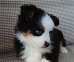 Small #8 Breeder Profile image