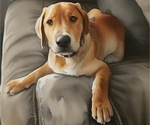Small #15 Breeder Profile image