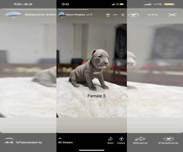 Medium Photo #18  Breeder Profile in DEMING, NM, USA