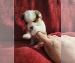 Small #90 Breeder Profile image