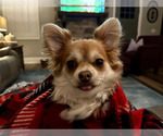 Small #50 Breeder Profile image