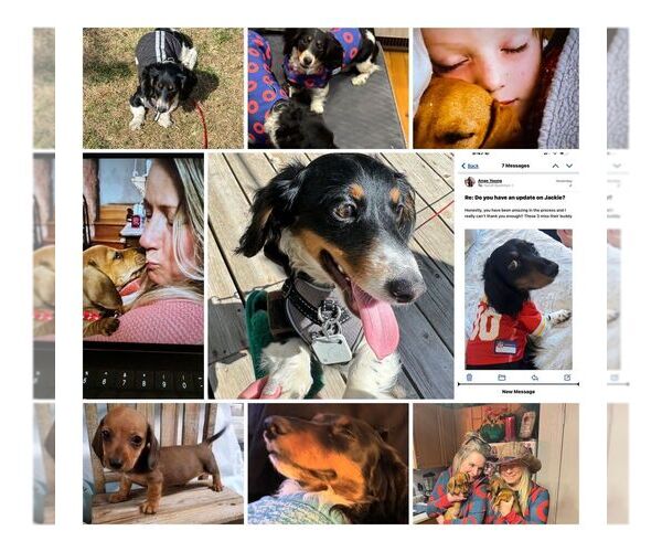 Medium Photo #10  Breeder Profile in STEAMBOAT SPRINGS, CO, USA