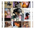 Small #9 Breeder Profile image