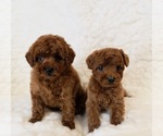 Small #3 Breeder Profile image