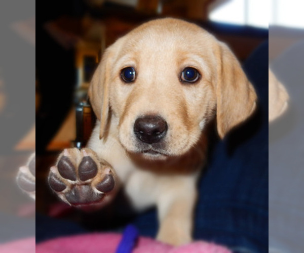 Medium Photo #1  Breeder Profile in PARKER, CO, USA