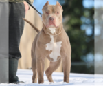 Small Photo #15  Breeder Profile in CLEARWATER, FL, USA