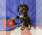 Small #16 Breeder Profile image
