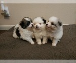 Small #8 Breeder Profile image