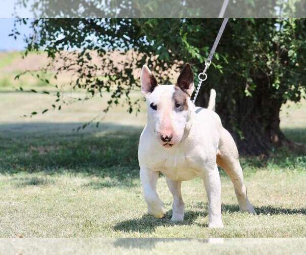Medium Photo #1  Breeder Profile in BUCKLIN, KS, USA