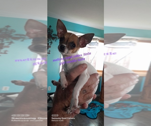 Medium Photo #1  Breeder Profile in CRESTON, IA, USA