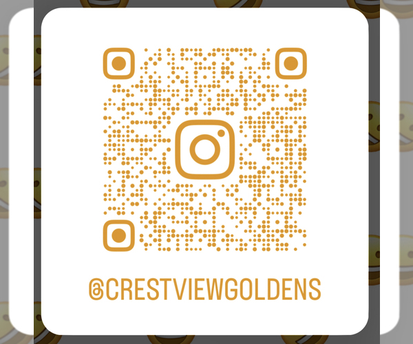 Medium Photo #1  Breeder Profile in ASHLAND, OH, USA