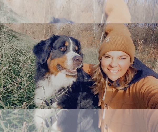 Medium Photo #1  Breeder Profile in LONG GROVE, IA, USA