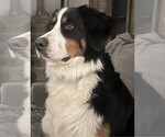 Small #3 Breeder Profile image