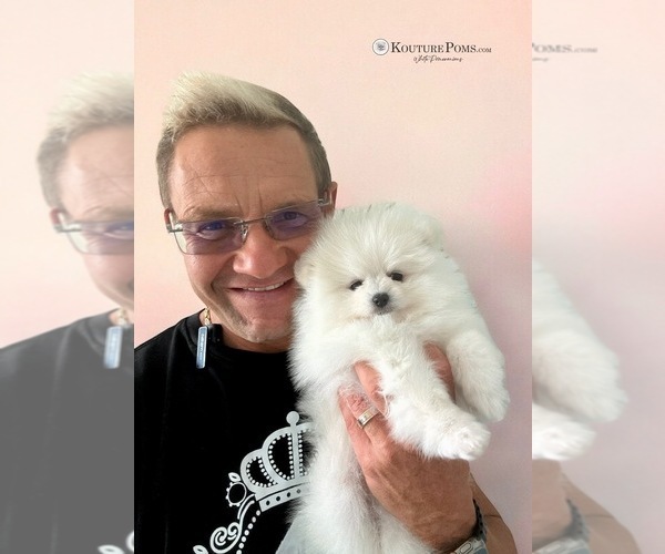 Medium Photo #32  Breeder Profile in CHARLOTTE, NC, USA
