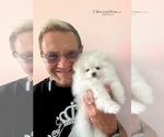 Small #31 Breeder Profile image