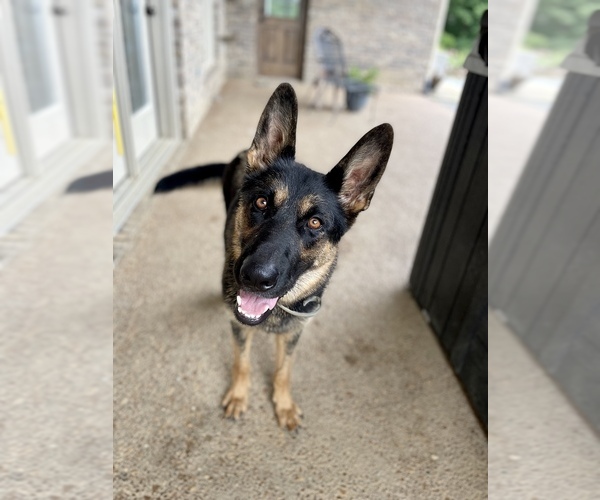 Medium Photo #1  Breeder Profile in MARION, KY, USA
