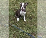 Small #1 Breeder Profile image