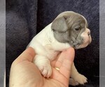 Small #3 Breeder Profile image