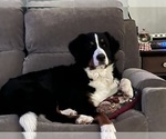 Small #2 Breeder Profile image