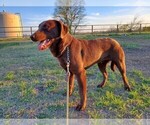 Small #2 Breeder Profile image