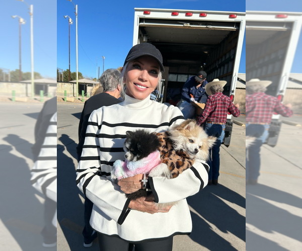 Medium Photo #2  Breeder Profile in CAVE CREEK, AZ, USA